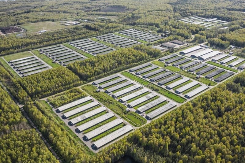 Черногория запускает CGF с капиталом 10 млн €: что это значит для бизнеса