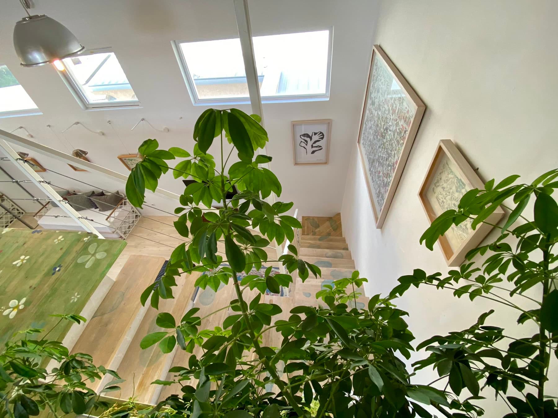 Living room interior with staircase and skylights in a house, Shushan, Montenegro: bright finishes and plant decor.