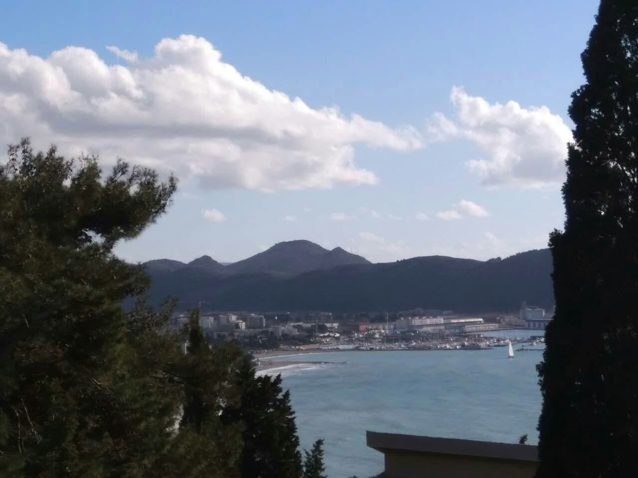 Panoramic view of the sea, mountains, and the city bay of Šušanj, Montenegro, from the house terrace surrounded by conifer trees.