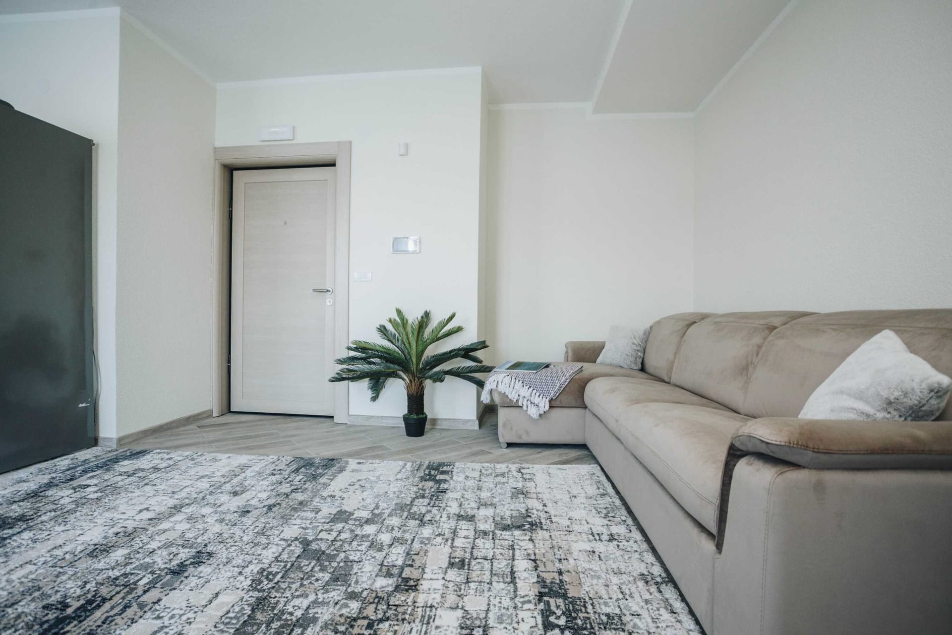 Bright living room with a beige sofa and rug in a modern villa in Krašići, Montenegro. Interior with a live plant.