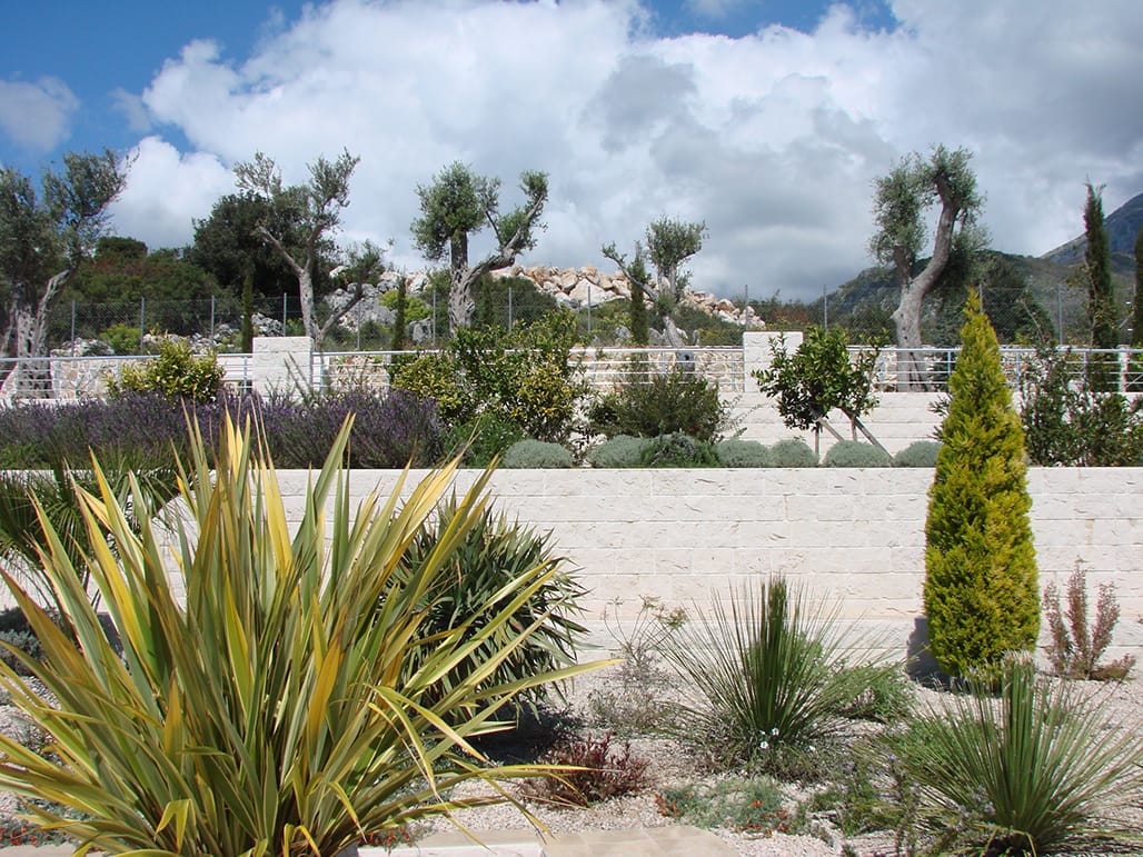 Landscape design of a garden with olive trees and ornamental plants by a villa in Dobra Voda, Montenegro
