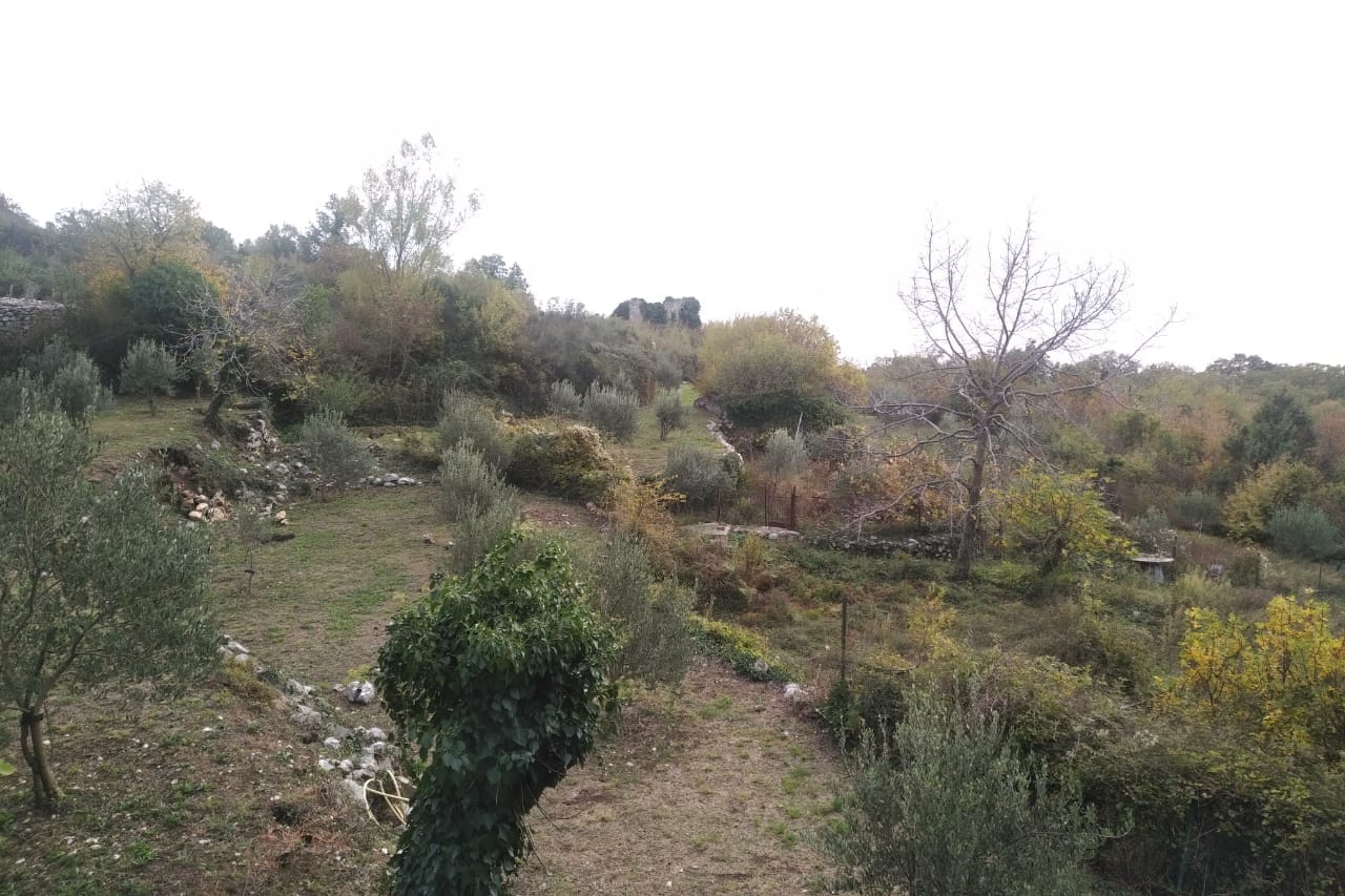 Land plot with olive trees and panoramic views of nature in Sveti Stefan, Montenegro.