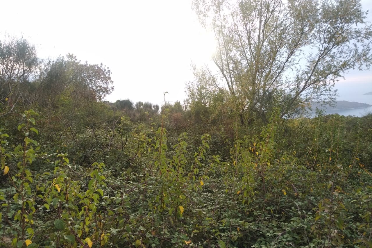 Building plot in Sveti Stefan, Montenegro, with panoramic sea and green area views.