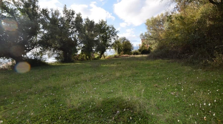 Land plot in Kavac, Montenegro: flat terrain with trees and views of the surroundings for building a house.