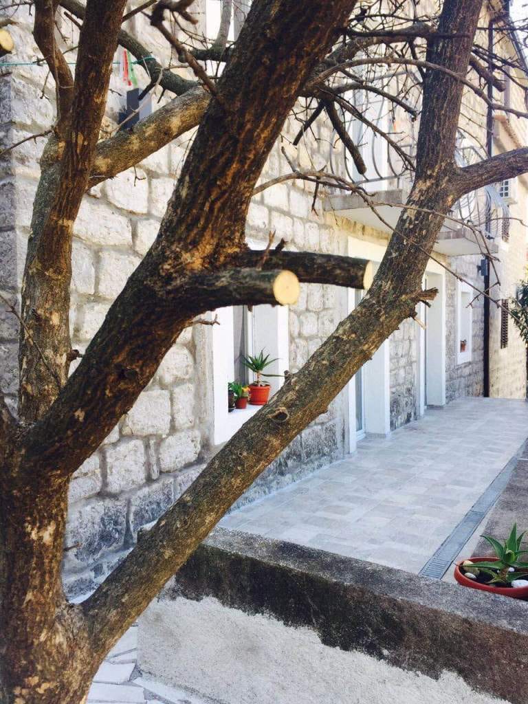 Facade of a mini-hotel made of natural stone in Rafailovići, Montenegro, with a terrace and decorative plants.