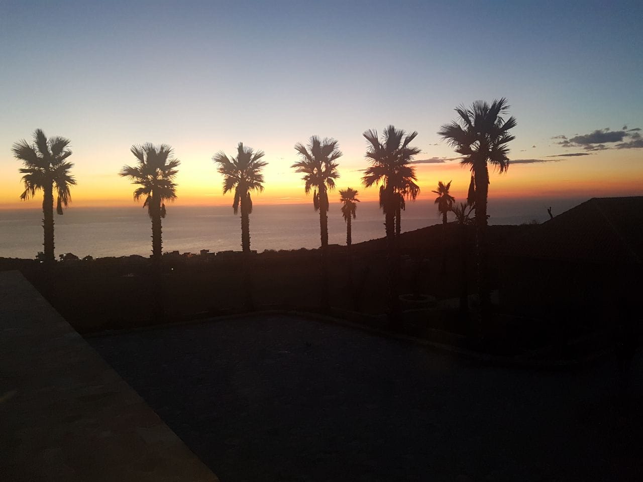 Picturesque sunset over the sea and palm trees by a villa in Krimovica, Montenegro. Panoramic view from the property terrace.