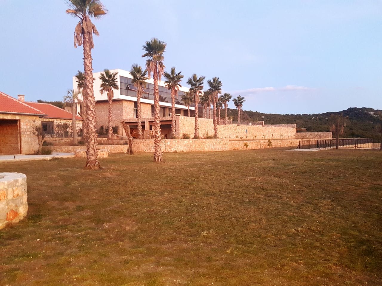 Modern stone villa with panoramic windows and palm trees on the property, Krimovica, Montenegro.
