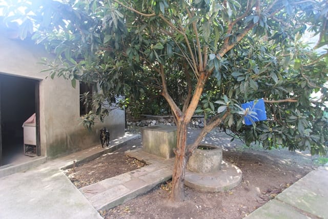 Courtyard of a private house in Muo, Montenegro: a stone well, a spreading tree, and an outbuilding on the property.