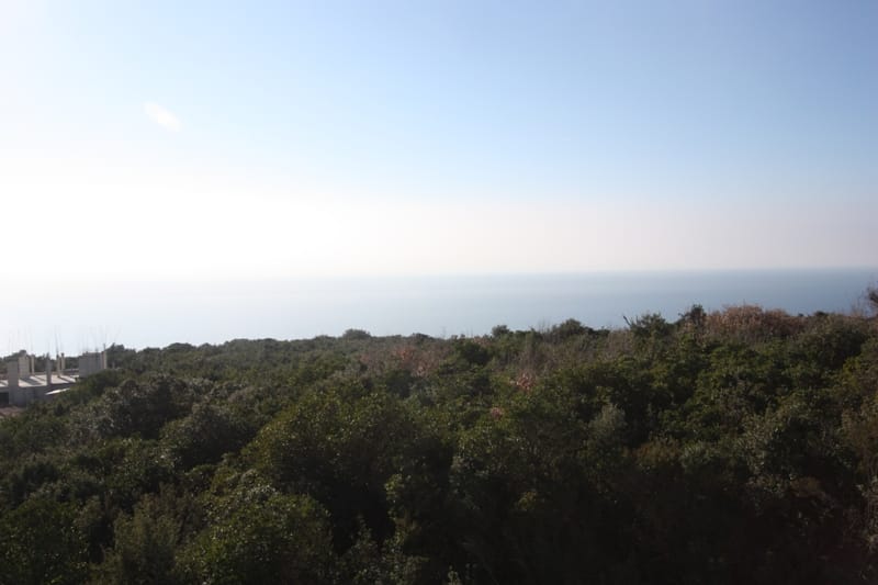 Panoramic view of the sea and green forested area from the plot in Krimovica, Montenegro.