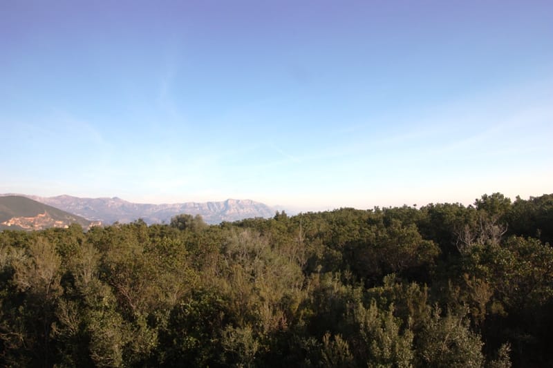 Panoramic view of the mountains and green forest area from the land plot in Krimovica, Montenegro.