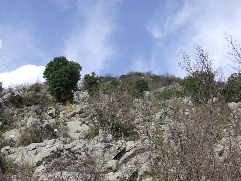 Land plot in the mountains of Risan, Montenegro: rocky terrain with trees and panoramic sky view.