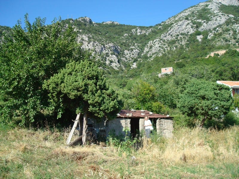 Land plot in Buljarica, Montenegro: view of an old stone building and mountain scenery with dense vegetation.