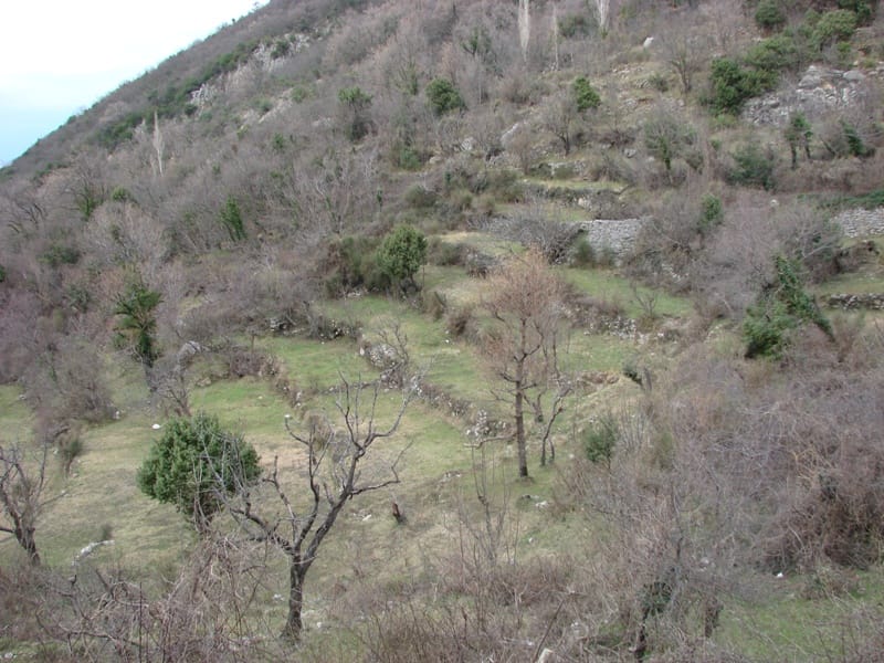 Land plot with terraces on a mountainside in the village of Lepetani, Montenegro, view of the landscape and trees.