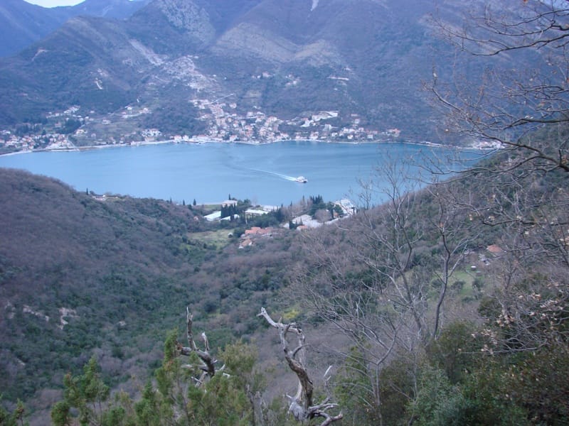 Panoramic view of the Bay of Kotor and the village of Lepetani, Montenegro, from a plot of land surrounded by mountains and forests.