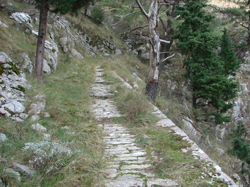 An old stone path on a plot of land in Lepetani, Montenegro, among mountain scenery and conifer trees.