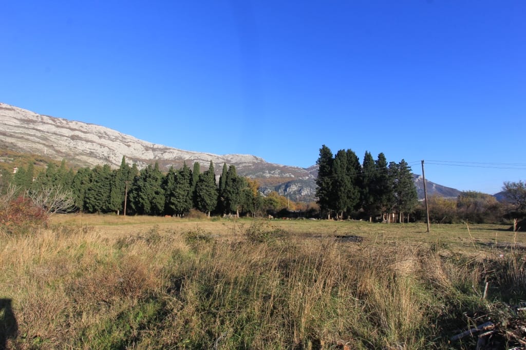 Land plot in Buljarica, Montenegro: panoramic view of the field, cypress trees, and mountain scenery under a clear sky.