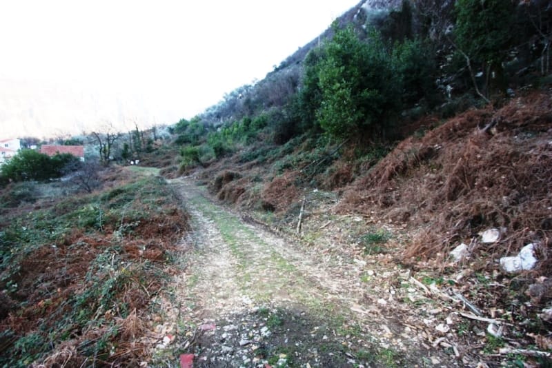 Building plot in Stoliv, Montenegro: dirt road, hilly terrain, and wooded area.