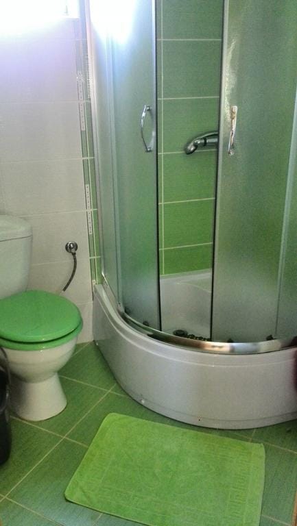 Bathroom with a shower cabin and green tiles in a house for sale, Krumovitsa, Montenegro.