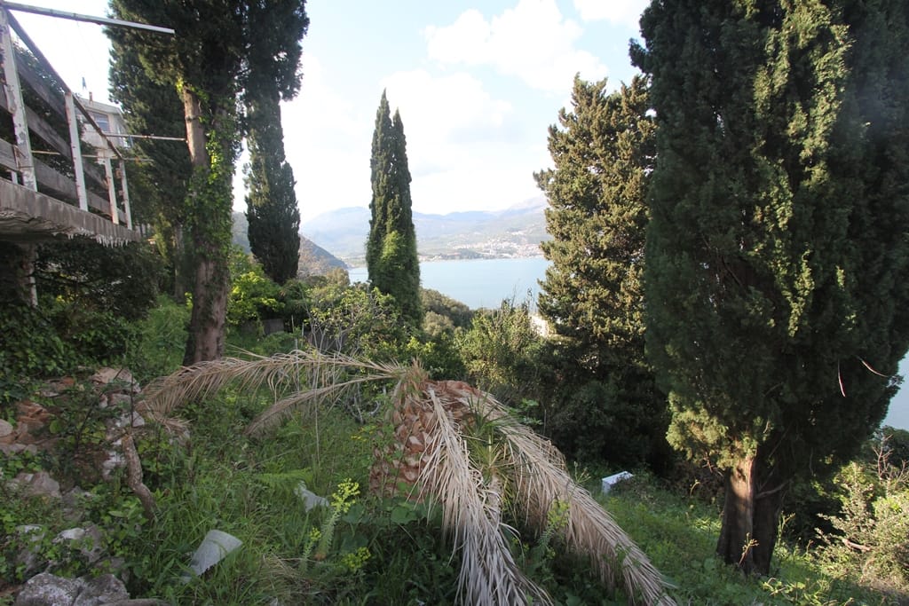 Land plot in Njivice, Igalo, Montenegro: sea view, cypress trees, and mountains from the property.