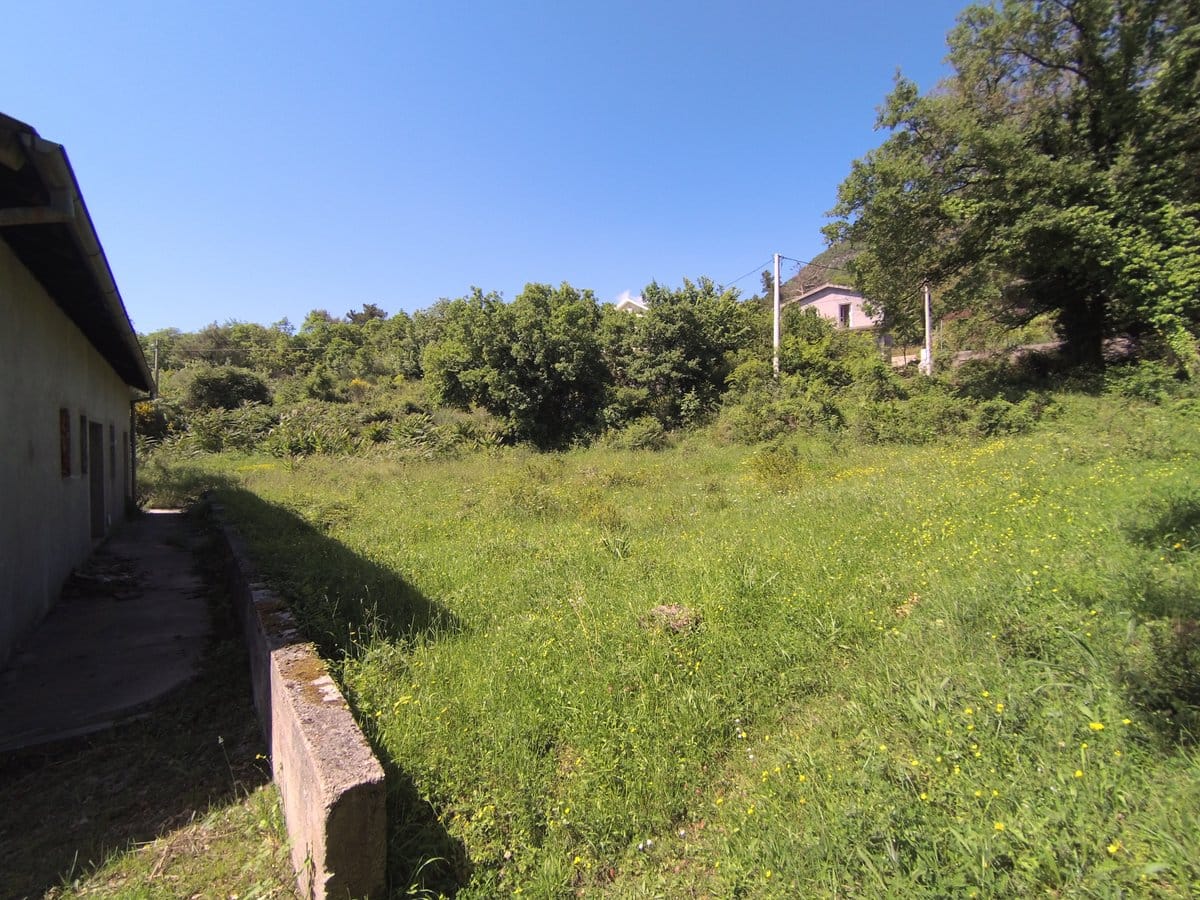 Land plot with a house in Kavači, Montenegro: view of the yard, greenery, and mountains on a sunny day.