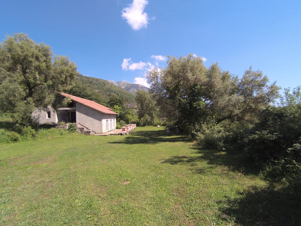 Private house with a plot and mountain scenery in the village of Kavac, Montenegro: view of the building, garden, and green trees.