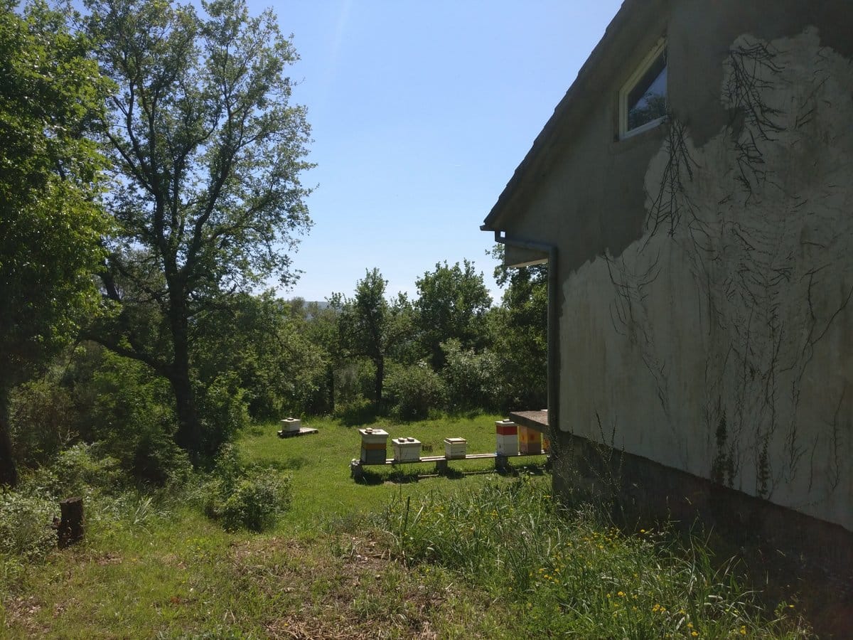 Private house with a plot and apiary in the village of Kavac, Montenegro: view of the green garden and the building facade under finishing.