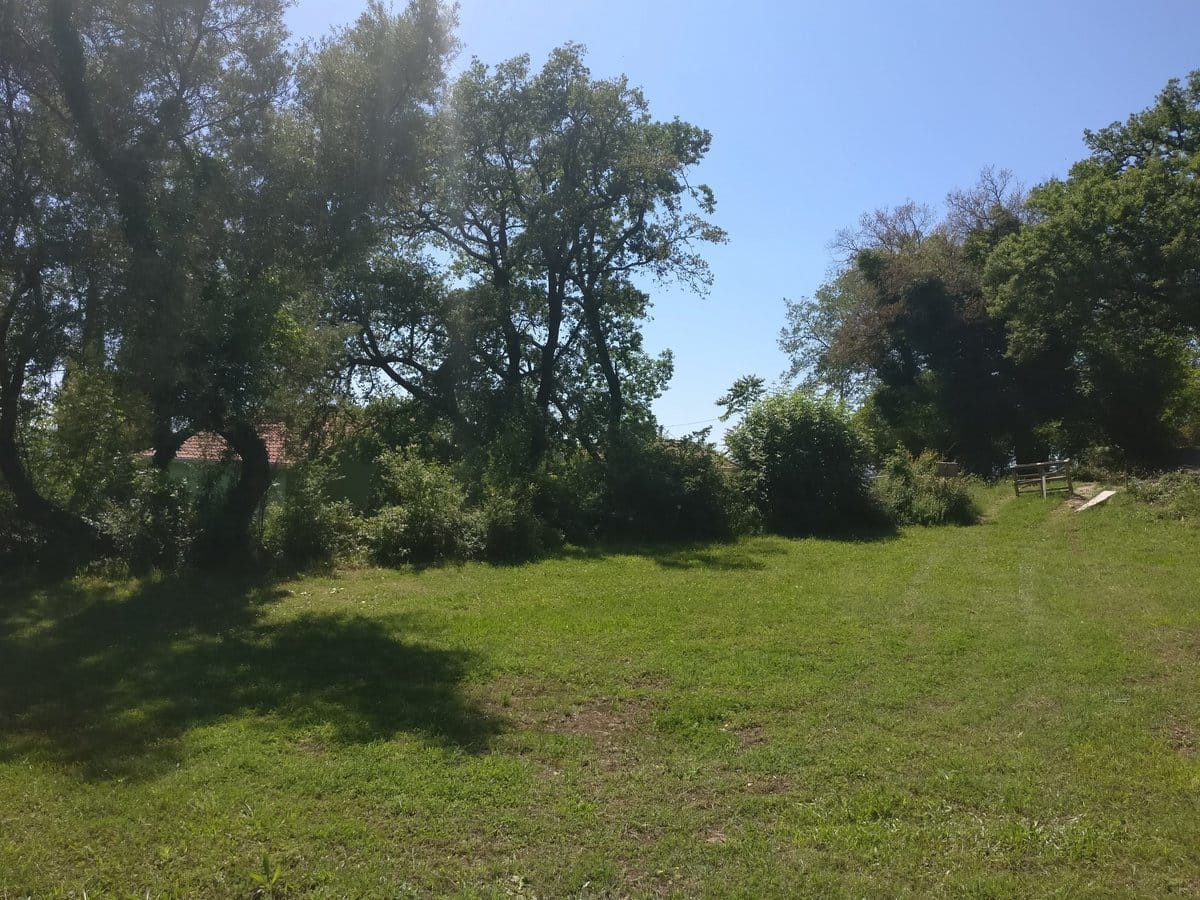 Green plot of land with trees and a house in Kavac, Montenegro, view of the yard and garden.