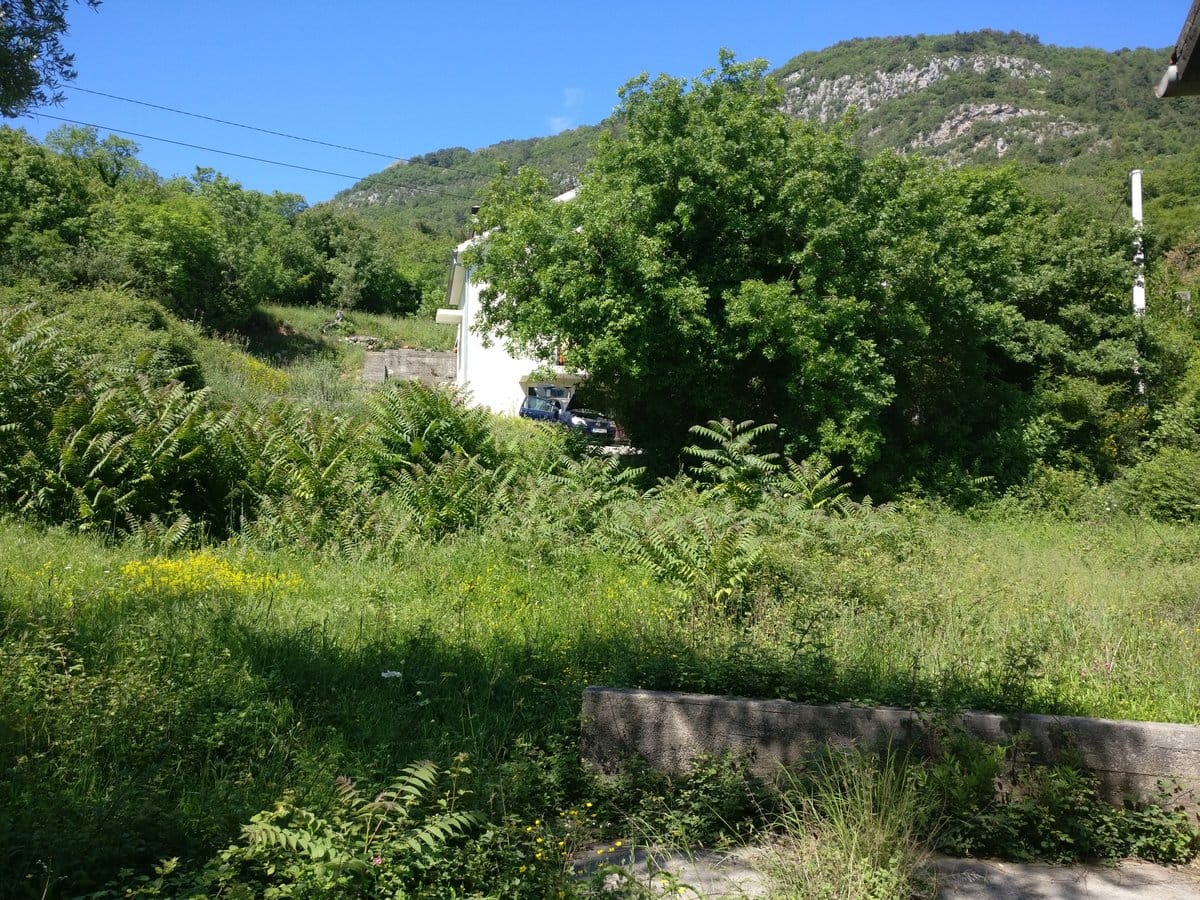 White house surrounded by greenery and mountains in the village of Kavac, Montenegro, view of the plot with dense vegetation.