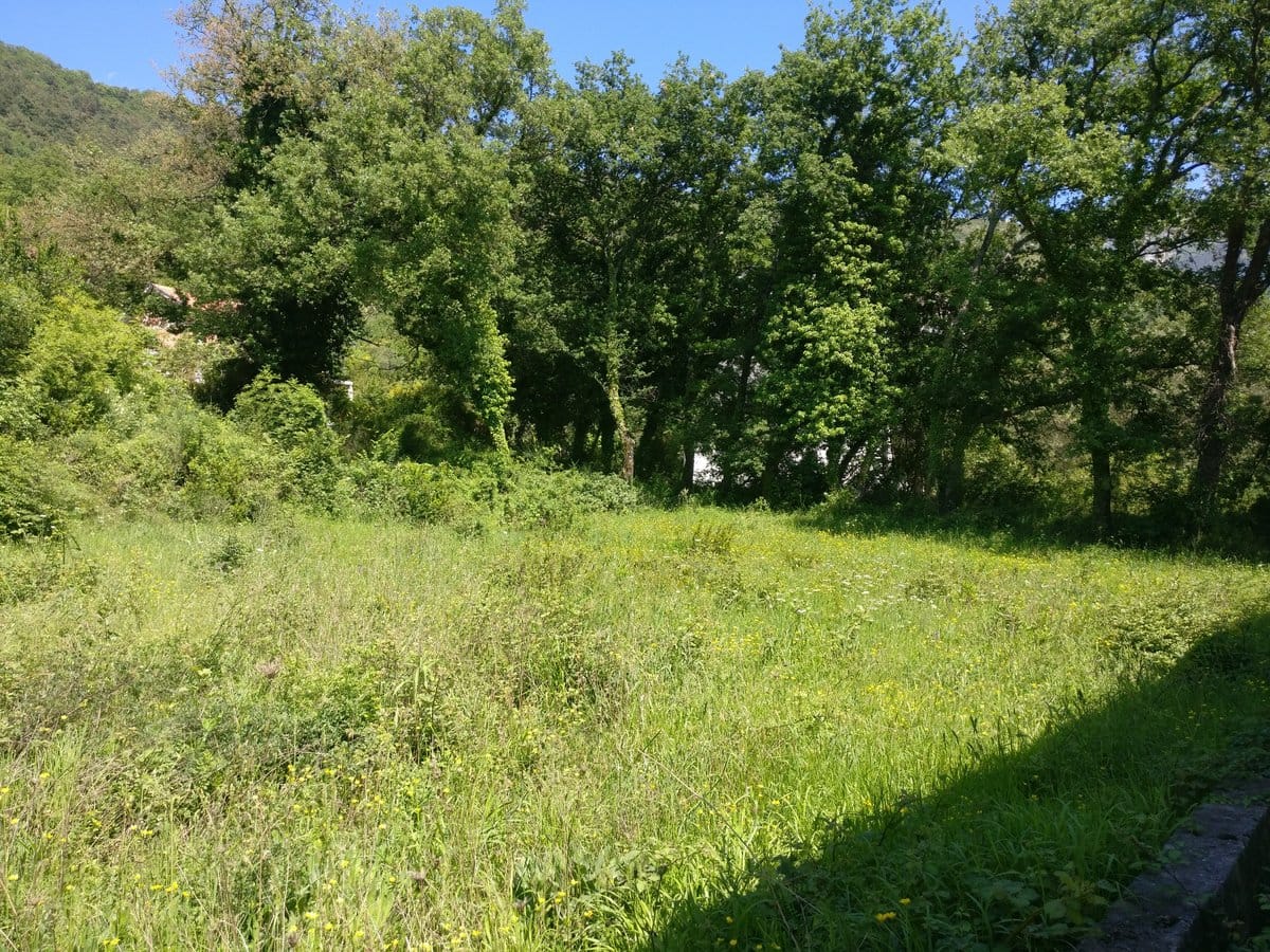 Green plot of land for house construction in Kavači, Montenegro, surrounded by dense trees and mountains.