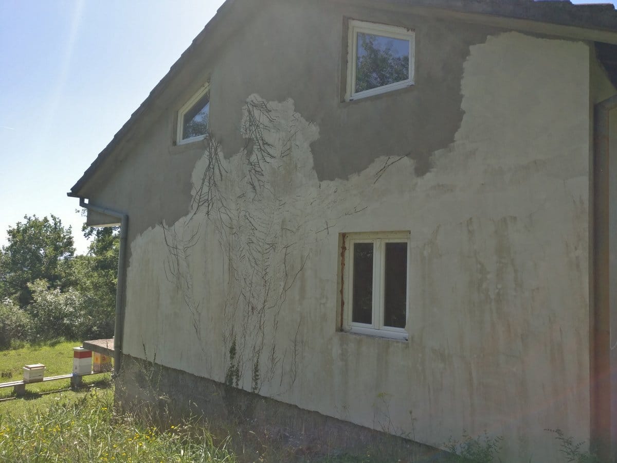 Facade of a two-story house in Kavaci, Montenegro: plastered walls, plastic windows, and an adjacent plot with beehives.
