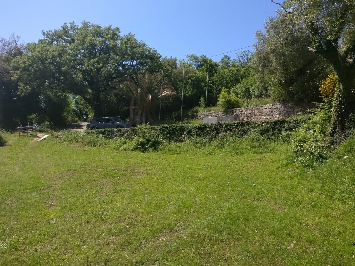 Green plot with trees and a stone fence by the house in Kavac, Montenegro, view of the yard and garden.