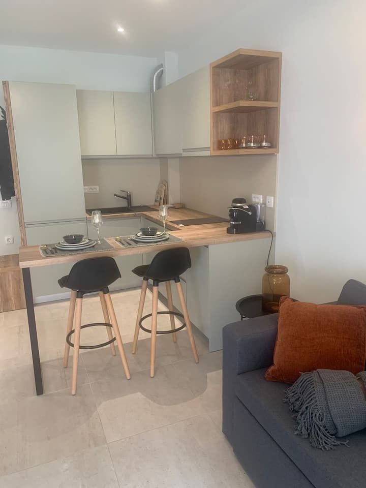 Modern kitchen-studio in an apartment in Kotor, Montenegro: bar counter, stylish kitchen set, and a lounge area with a sofa.