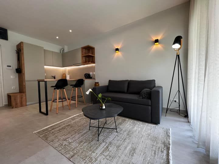Modern living studio in Kotor, Montenegro: kitchen with a bar counter, gray sofa, and stylish lighting.