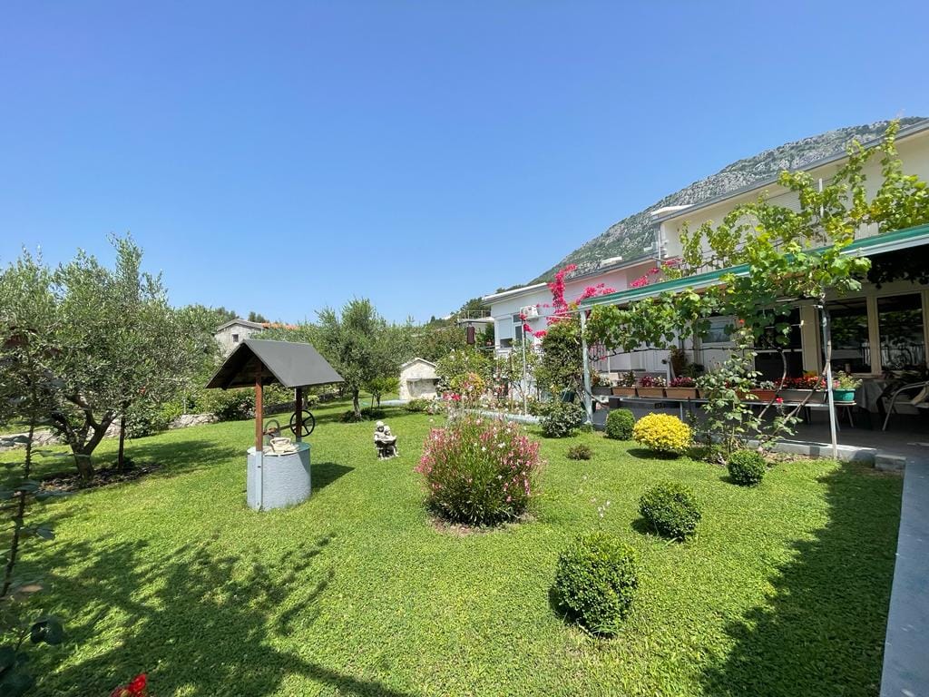 Green garden with a well and terrace by the house in Shushan, Montenegro: landscape design, olive trees, and mountains.