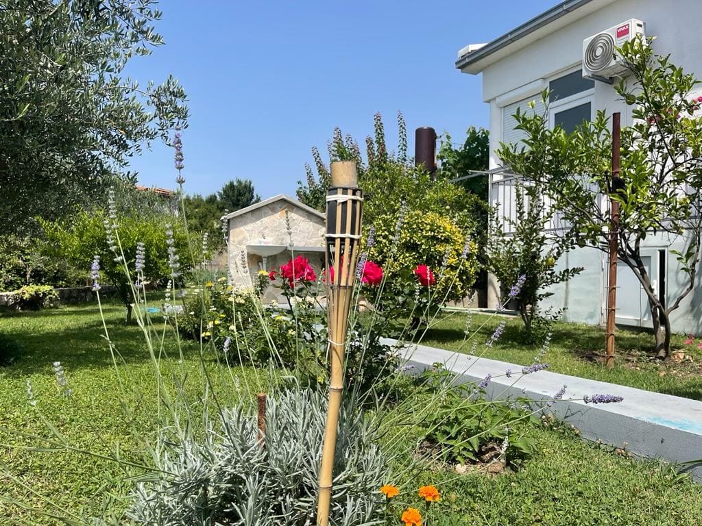 Well-kept garden with blooming roses and lavender by a private house in Shushan, Montenegro, view of the surrounding yard.