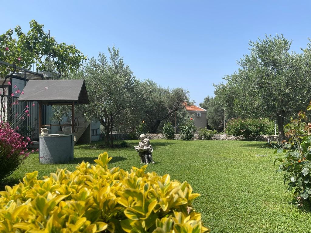 Green garden with a decorative well and olive trees on the property in Shushan, Montenegro.