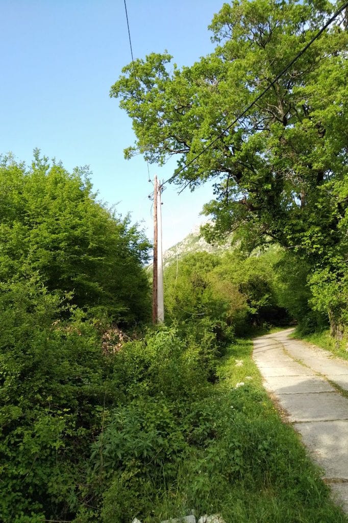 Land plot surrounded by greenery and mountains in Sveti Stefan, Montenegro: view of the access road and forest area.