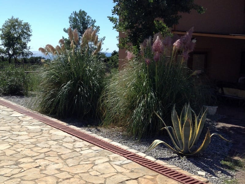 Landscape design of a garden with agave and pampas grass by a house in Krimovica, Montenegro, view of the terrace and plot.