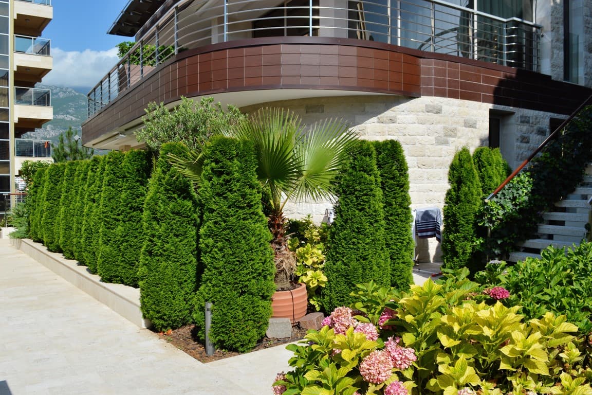 Терраса современной квартиры в Будве, Черногория, с ландшафтным дизайном, туями и цветущими гортензиями у дома.