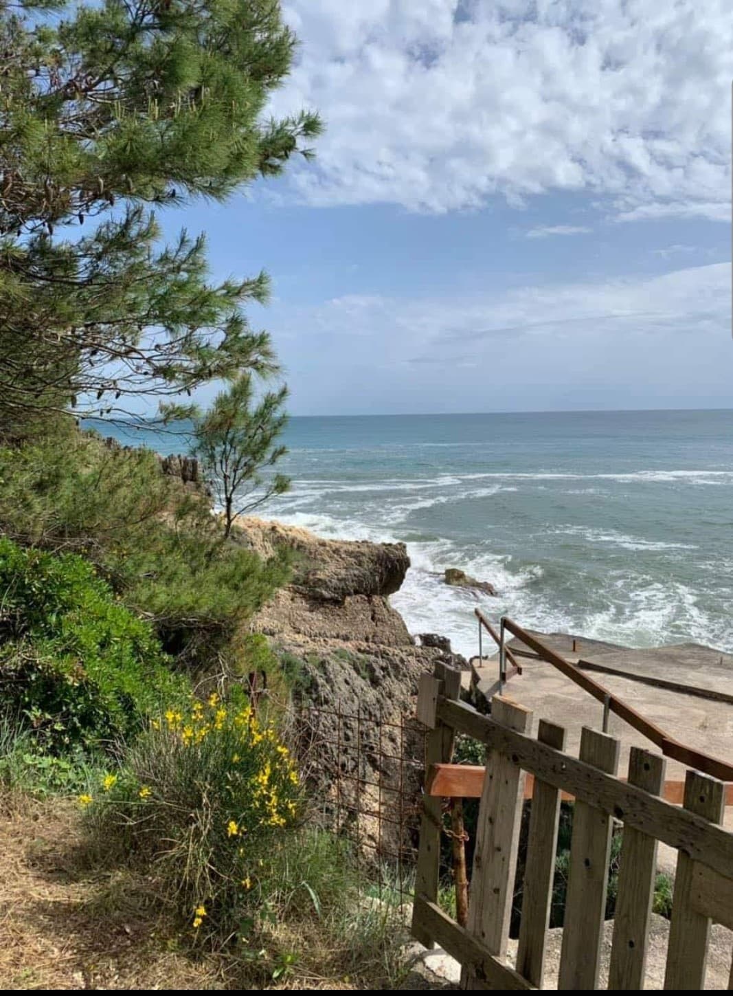 Вид на море и скалистый берег с участка в Ульцине, Черногория: спуск к воде, сосны и деревянное ограждение.