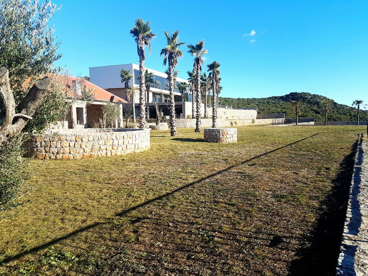 Современная вилла с каменной отделкой и пальмами на участке в Крымовице, Черногория. Вид на благоустроенную территорию.