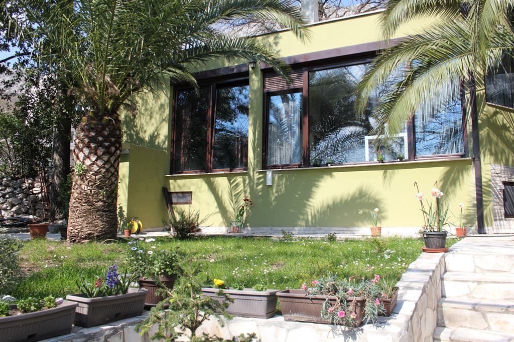 Фасад дома в Ораховце, Черногория: панорамные окна, зеленая отделка, ухоженный сад с пальмами и цветами в горшках.
