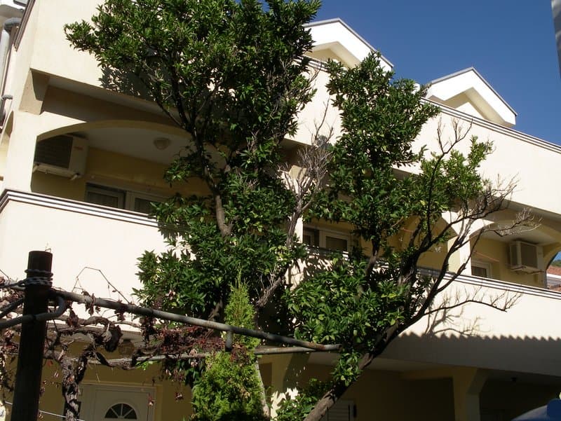 Фасад дома в Будве, Черногория, с зелеными деревьями, террасами и установленными кондиционерами на стенах здания.