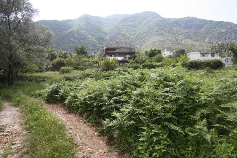 Земельный участок в Прчани, Черногория: вид на горы, зеленую территорию и подъездную дорогу к частному дому.