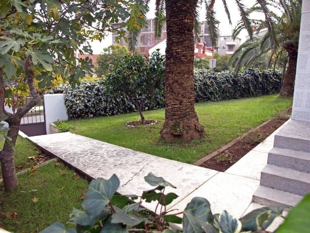 Ухоженный зеленый сад с пальмой и каменной дорожкой у апартаментов в Черногории, вид на придомовую территорию.