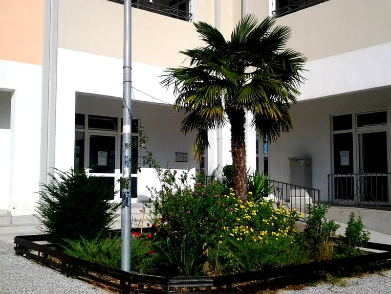 Ухоженный внутренний двор жилого комплекса с пальмой и цветущей клумбой у дома в городе Бар, Черногория.