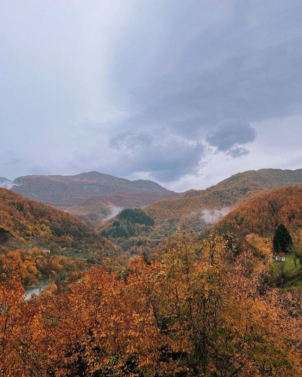 Golden autumn in Montenegro: Kolašin, mountain view