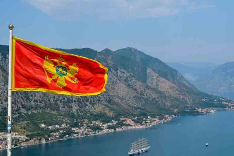 409 people received economic citizenship of Montenegro