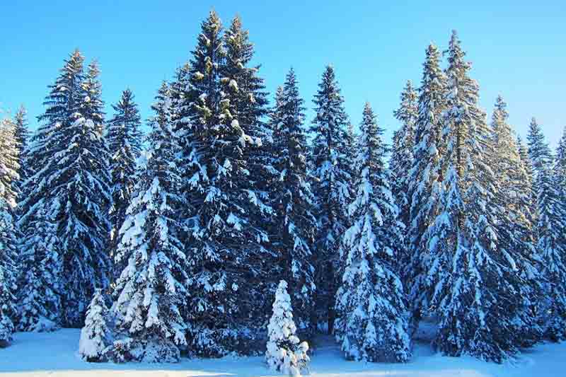 A historic temperature minimum has been recorded in Montenegro