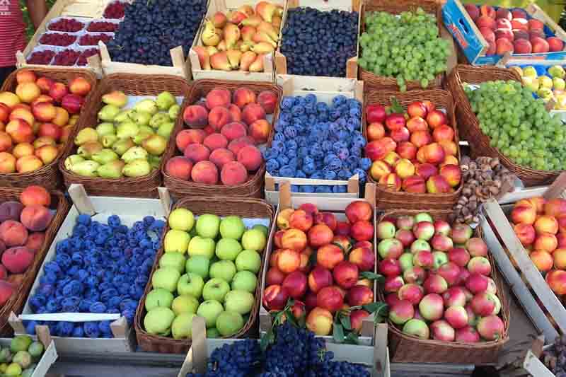 Montenegrin Authorities Introduce Food Vouchers for the Poorest